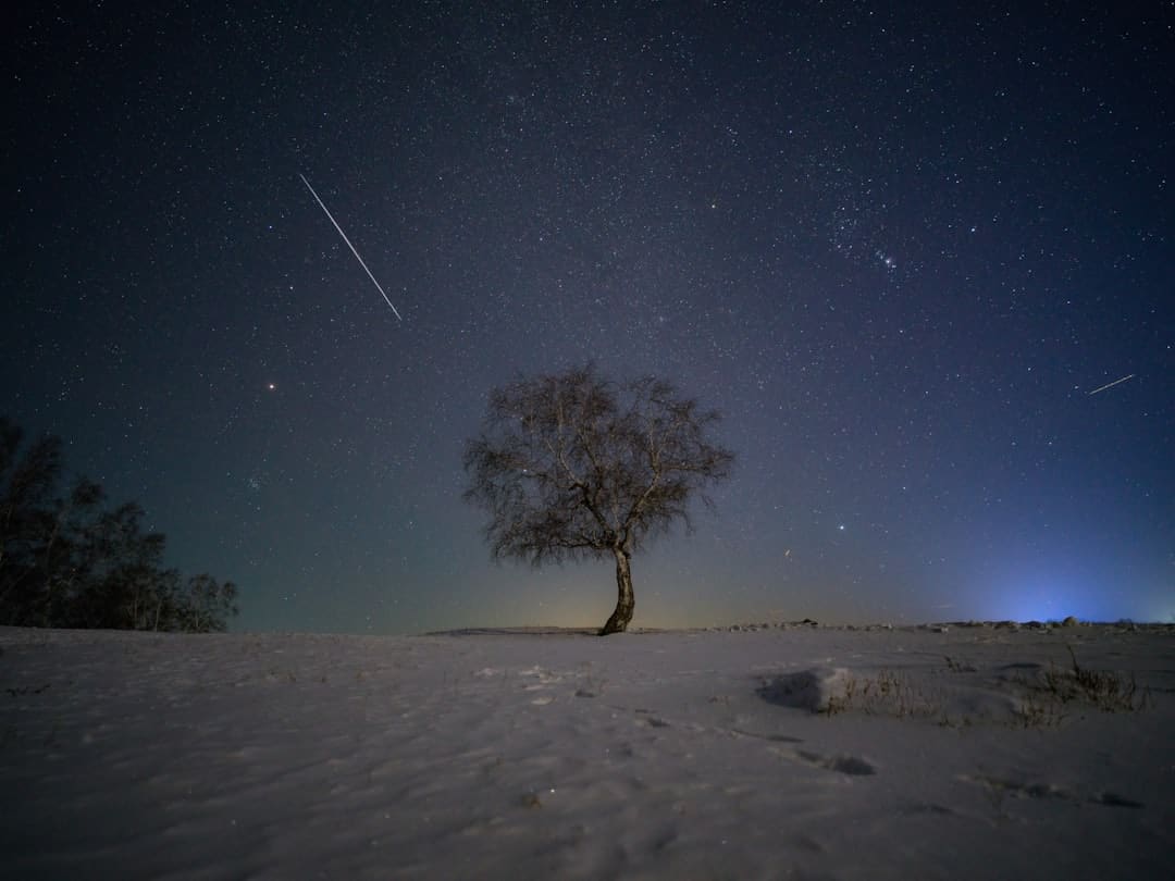 05后博主发帖共享，追的竟然是泉州这位“大明星”…